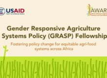 Gender Responsive Agriculture Systems Policy (GRASP) Fellowship 2022 for Ghana, Kenya, Rwanda, and Uganda
