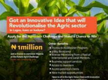 2022 AgroHack Challenge for Nigerian Agriculture Entrepreneurs