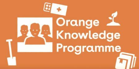 2023 Nuffic Orange Knowledge Programme (OKP) Scholarships for mid-career professionals to study in The Netherlands