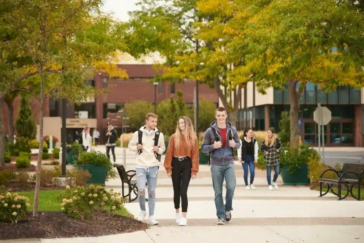 Helle Rakfeldt Leetma International Art Scholarships 2022 at Genesee Community College in USA
