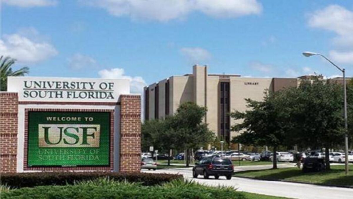 International Student Scholarships 2022 at University of South Florida in USA