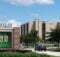 International Student Scholarships 2022 at University of South Florida in USA