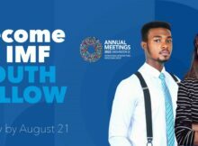 The IMF Youth Fellowship Program 2022 worldwide