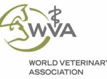 2022 WVA Veterinary Student Scholarship Program for Students from Developing Countries