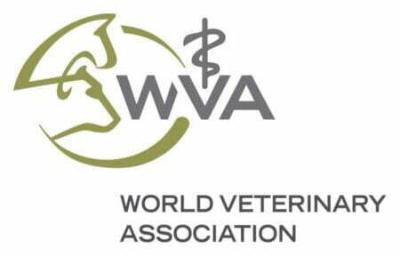 2022 WVA Veterinary Student Scholarship Program for Students from Developing Countries
