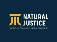 2023 Environmental Justice Fellowship for African Professionals