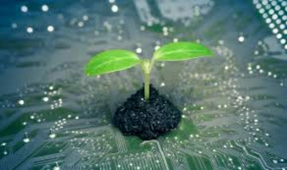 The GIZ-SAIS Investment Readiness Programme 2023 for African Agtech Start-ups
