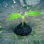 The GIZ-SAIS Investment Readiness Programme 2023 for African Agtech Start-ups