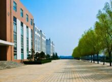 Management For Healthcare Scholarships 2023 At SDA Bocconi School of Management in Italy