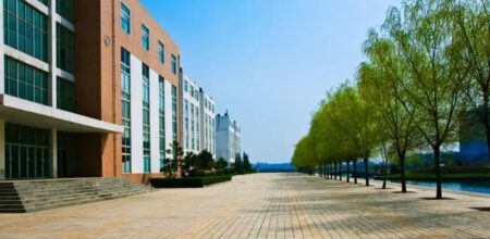 Management For Healthcare Scholarships 2023 At SDA Bocconi School of Management in Italy