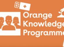 Orange Knowledge Programme (OKP) 2022 for Students to Study in The Netherlands