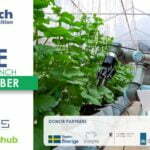 2022 African Development Bank (AfDB) AgriPitch Competition for African Youth Agripreneurs