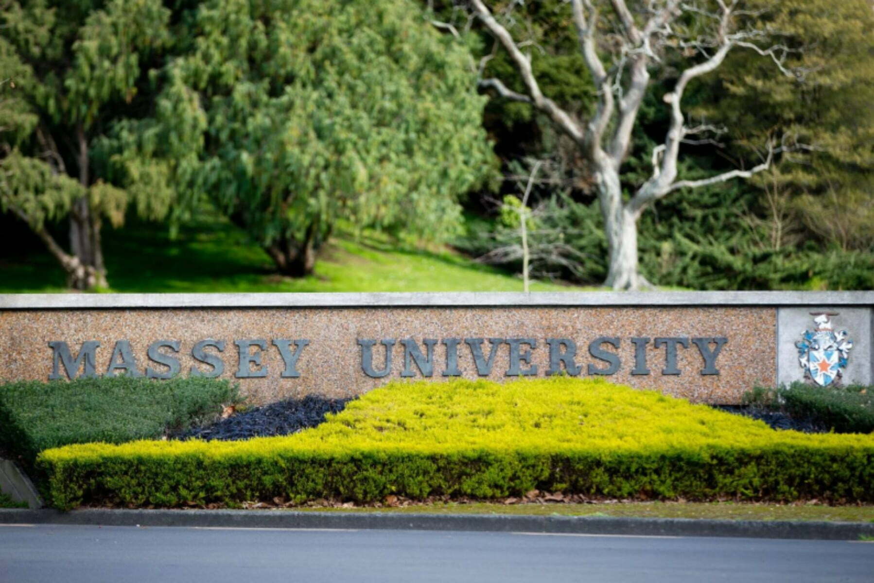 2023 International Excellence Scholarships At Massey University At New 2023-international-excellence-scholarships-at-massey-university-at-new