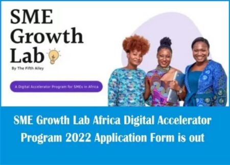 SME Growth Lab Africa Digital Accelerator Program 2022 for Africans