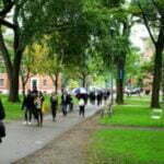 STIBET Completion Grants 2023 for International Students at Heidelberg University in Germany