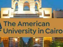 American University in Cairo 2023 Excellence Scholarships Program in Egypt