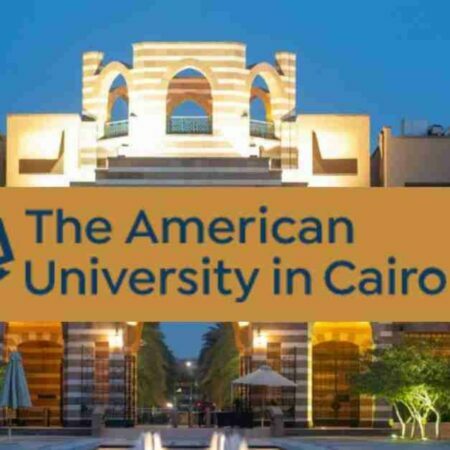 American University in Cairo 2023 Excellence Scholarships Program in Egypt