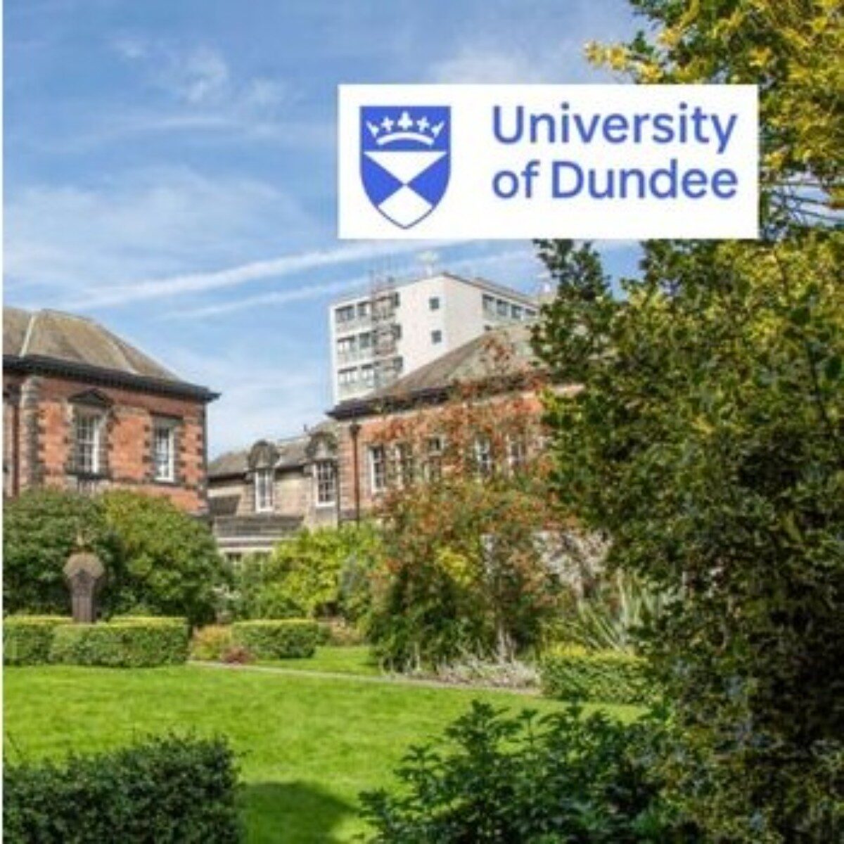 Excellence scholarship at University of Dundee 2023
