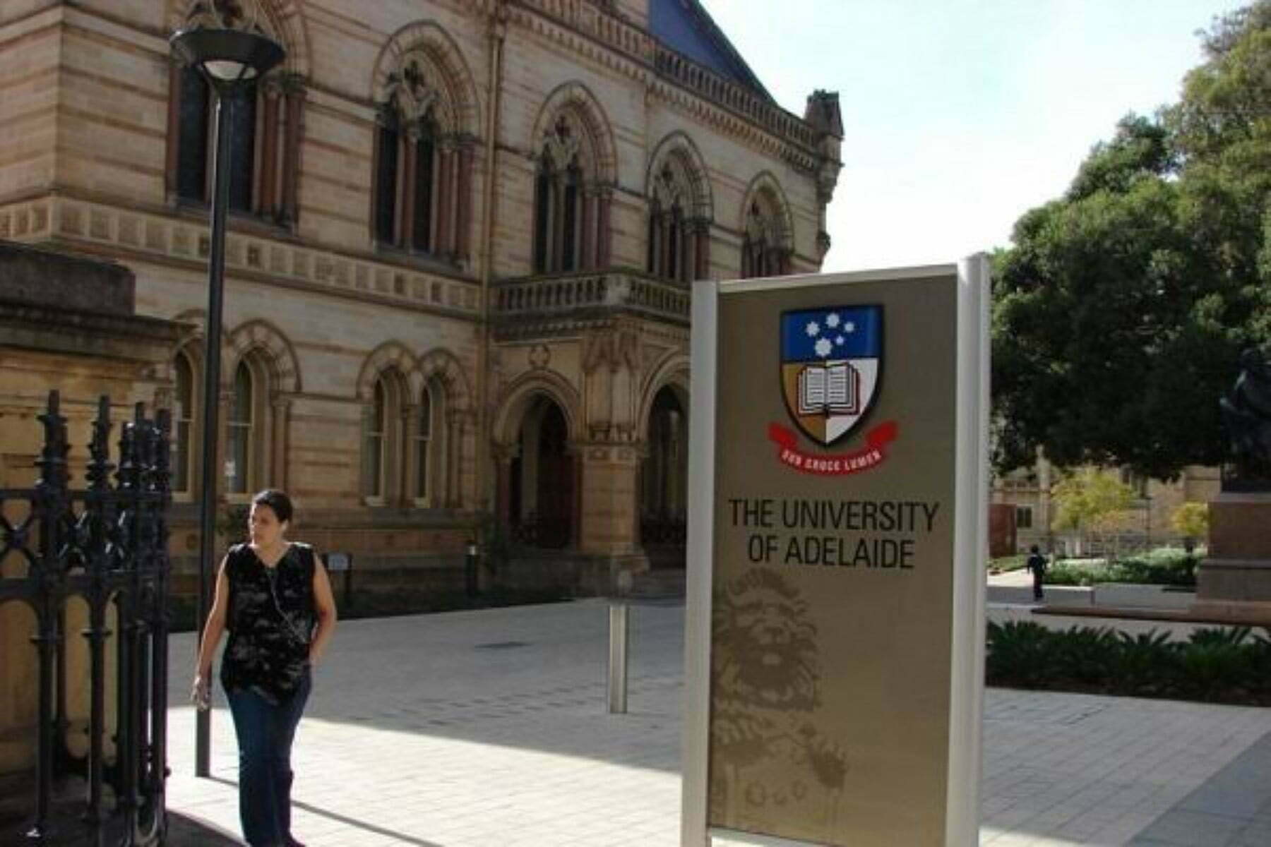 phd at university of adelaide