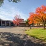 2023 Foundation International Scholarship at Shasta College in USA