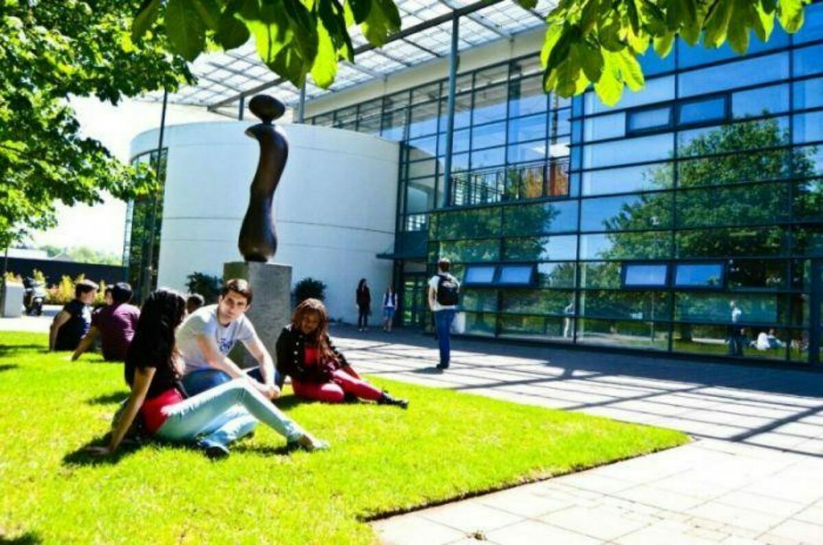 2023 Professor Brian Fynes Memorial Scholarships at UCD Smurfit Graduate Business School