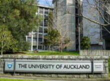 2023 International Business Scholarship Program at University of Auckland