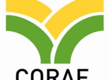 CORAF 2023 Food System Resilience Scholarship for African Students