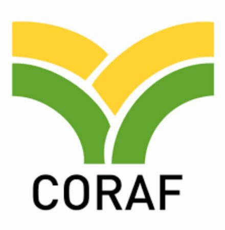 CORAF 2023 Food System Resilience Scholarship for African Students 