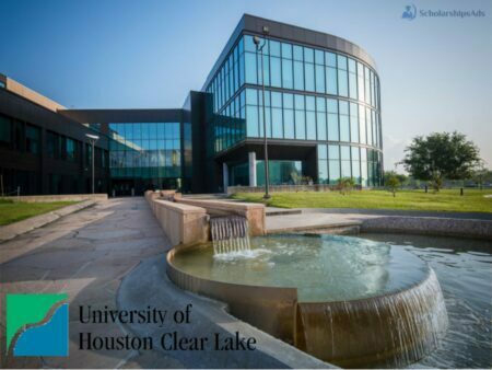 Hawk Scholarships 2023 at University of Houston-Clear Lake 