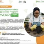 2023 IFAD Agrihub Nigeria Youth Agripreneurship Apprenticeship Program (YAAP)