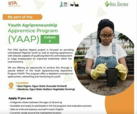 2023 IFAD Agrihub Nigeria Youth Agripreneurship Apprenticeship Program (YAAP)