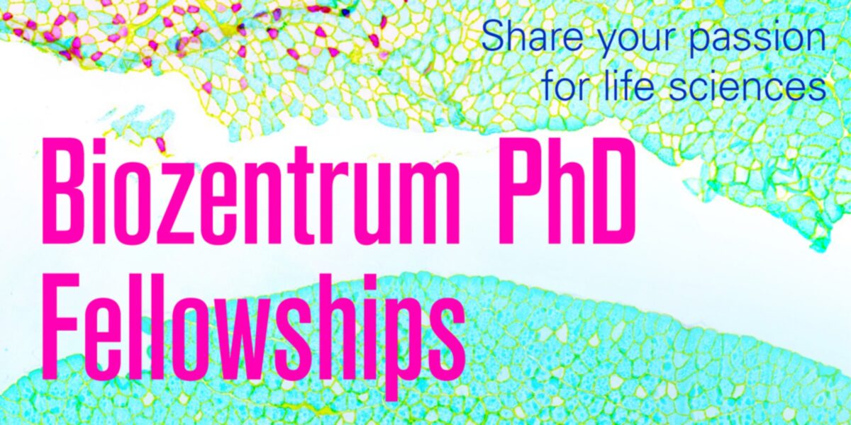 Biozentrum Fellowships Program 2023 at University of Basel in Switzerland