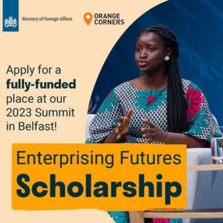 Dutch Ministry of Foreign Affairs Enterprising Futures Scholarship 2023
