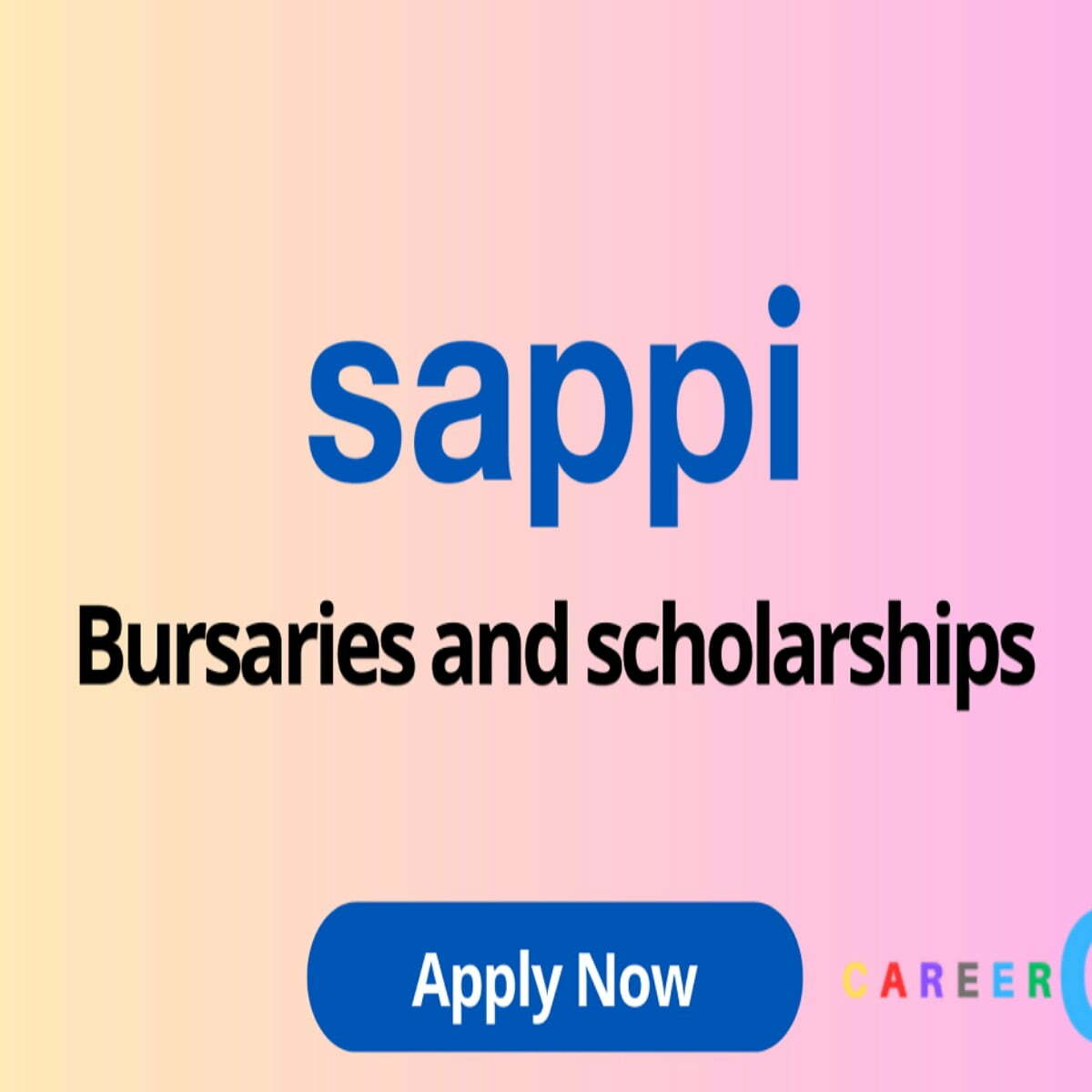 Sappi Bursaries and Scholarships 2023 for African Students
