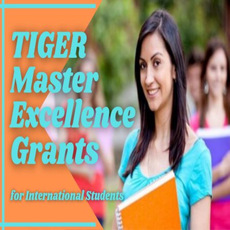 Tiger Master’s Excellence Scholarships for International Students 2023 at Aix-Marseille University in France