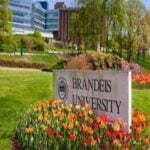 Wien International Scholarship Program (WISP) 2023 Brandeis University in USA