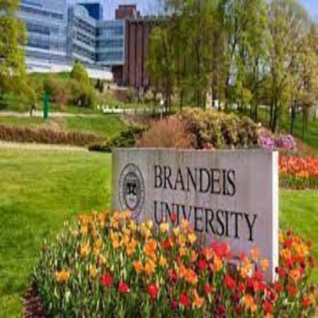 Wien International Scholarship Program (WISP) 2023 Brandeis University in USA