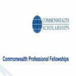 Commonwealth Professional Fellowships 2024