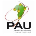 Postgraduate Scholarships 2023 at Pan African University