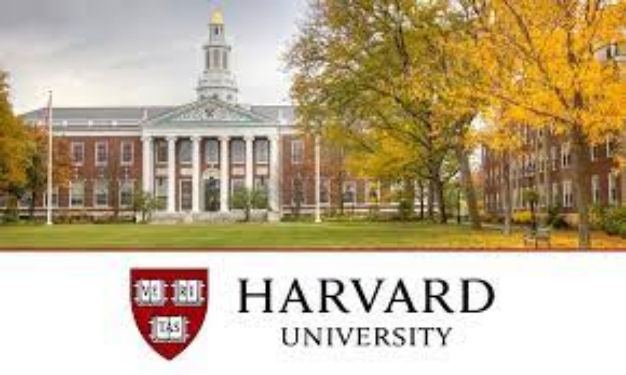 Scholars Program 2023 at Harvard University in USA