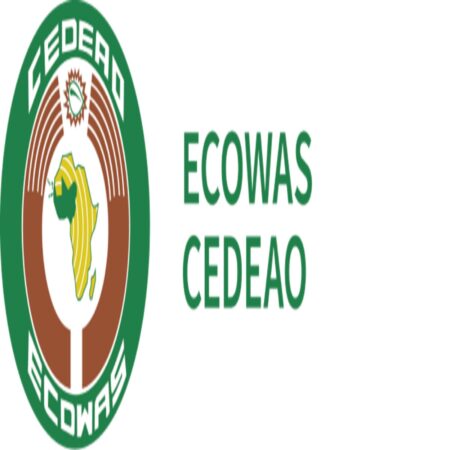 ECOWAS Immersion Program for Young Africans 2024
