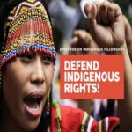 OHCHR Indigenous Fellowship Programme 2024