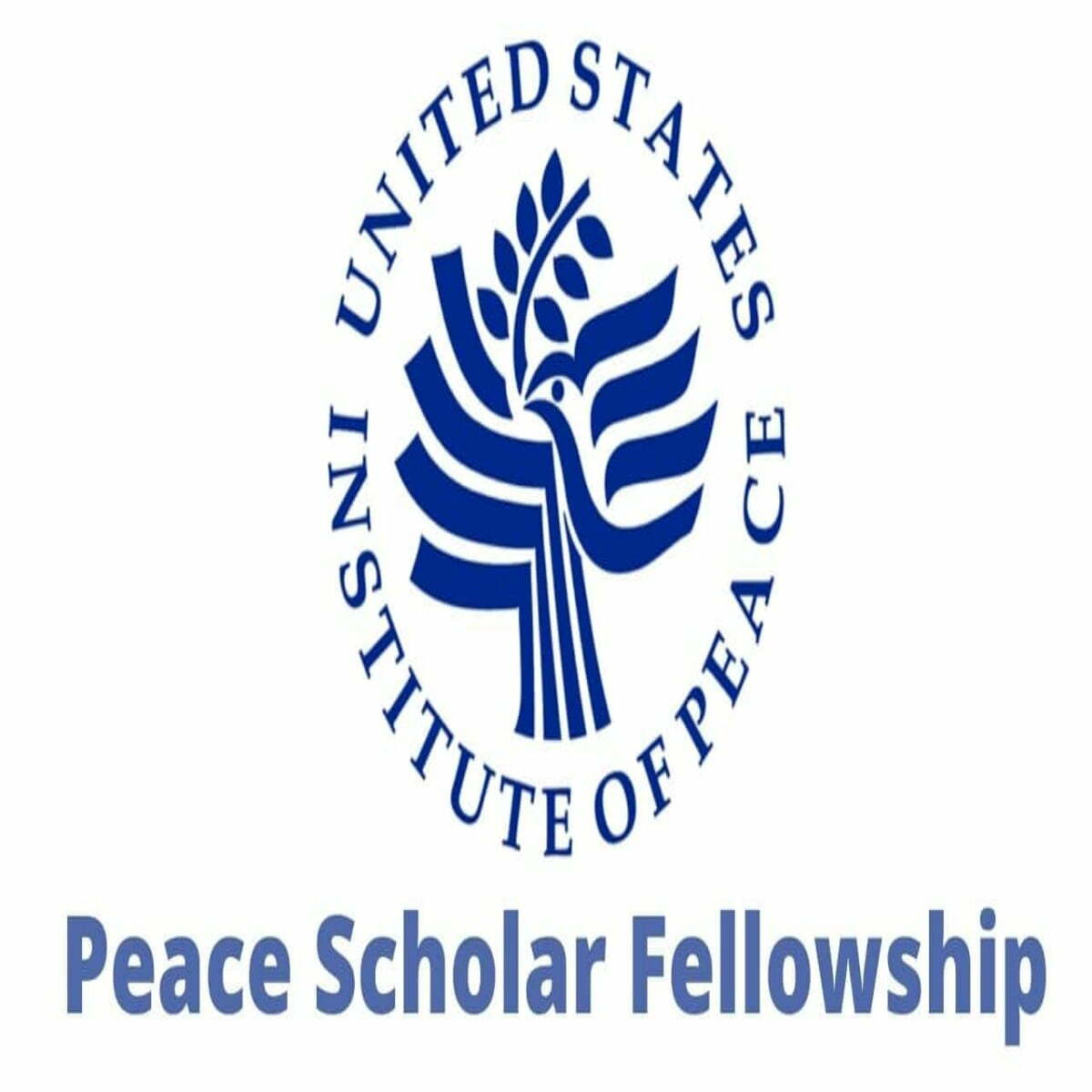 USIP Peace Scholar Fellowship Program in the United States