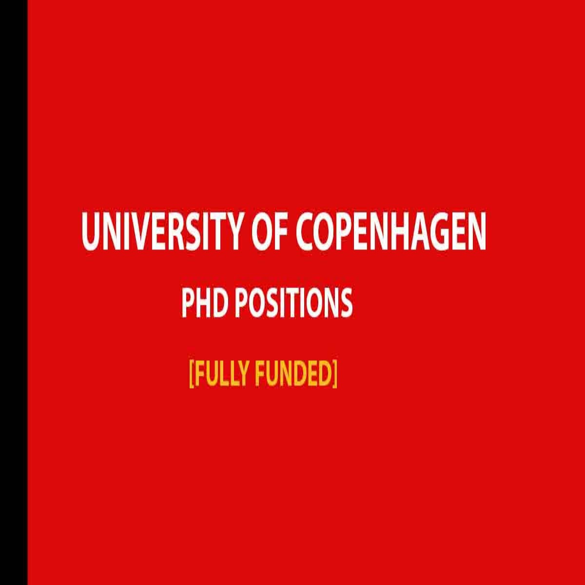 PhD Positions 2024/2025 at University of Copenhagen