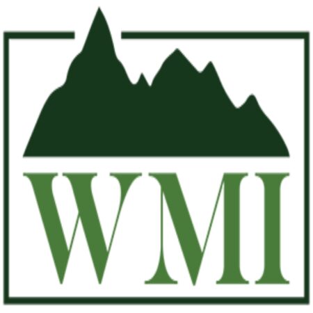 Wells Mountain Initiative (WMI) Scholars Program 2024 for Developing Countries