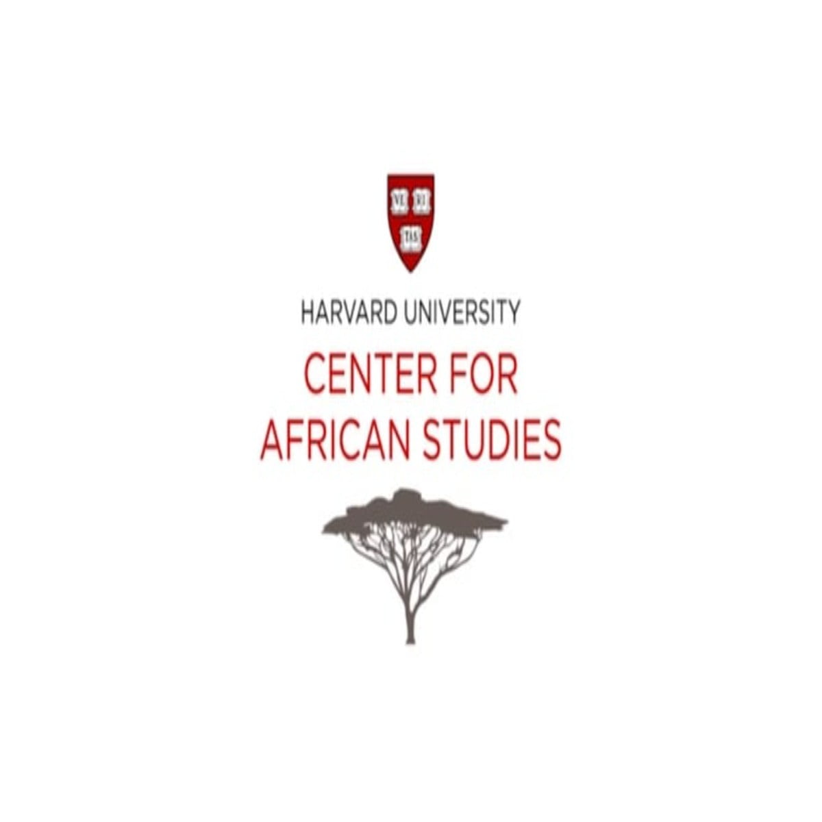 Harvard Fellowship Programme 2024 for South Africans