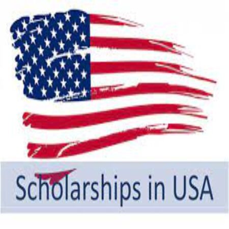 Stamp Scholars Program for Studies 2024 in the United States of America