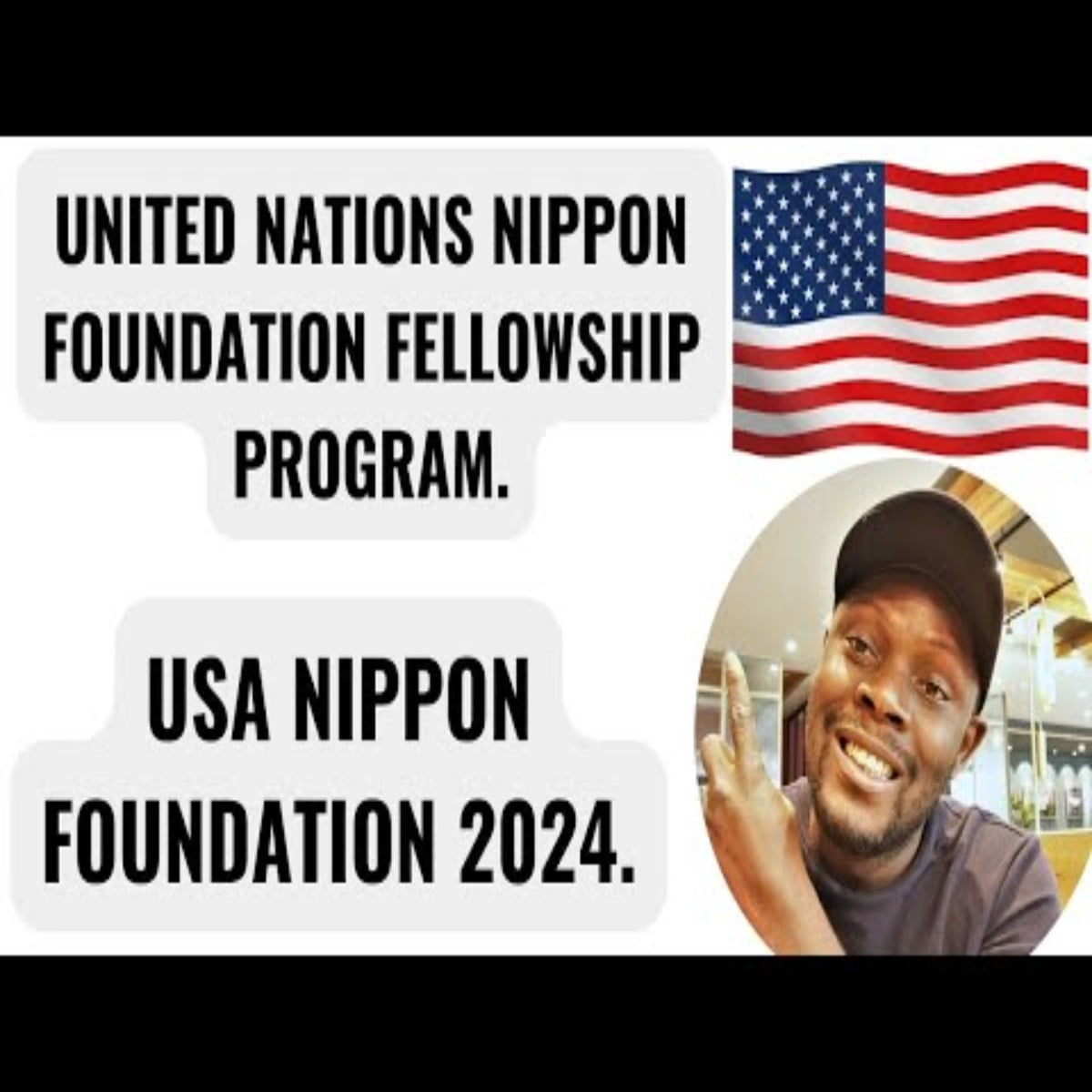 United Nations Nippon Foundation Fellowship 2024