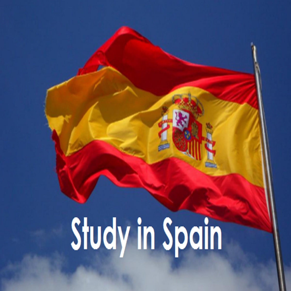 Studying and working in Spain, Available Opportunities in 2024