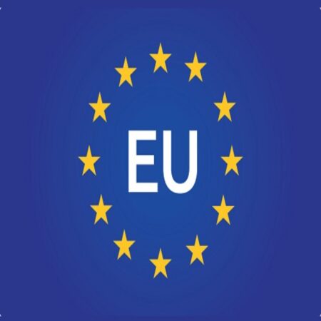 EU Funded Traineeship for Young Graduates 2024